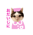 mewmew！（個別スタンプ：6）