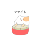 Adan cat (japanese)（個別スタンプ：10）