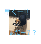 私の日常より（個別スタンプ：5）