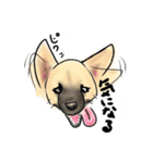 mixdogs2（個別スタンプ：8）