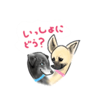 mixdogs2（個別スタンプ：15）