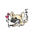 mixdogs2（個別スタンプ：16）