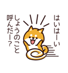 しょう、柴犬になりました。（個別スタンプ：1）