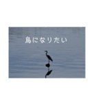 風景写真に挨拶を添えて（個別スタンプ：16）