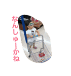 こはめいスタンプ（個別スタンプ：27）