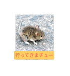 小さなネズミ（個別スタンプ：2）