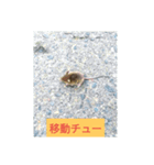 小さなネズミ（個別スタンプ：6）