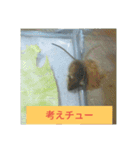 小さなネズミ（個別スタンプ：11）