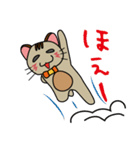 ほんわか癒し猫♪（個別スタンプ：19）