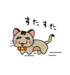 ほんわか癒し猫♪（個別スタンプ：29）