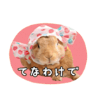 うさぎのらぶ 1（個別スタンプ：40）