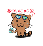 ねこだぬき（個別スタンプ：6）