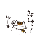 ねこめん（個別スタンプ：3）