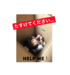 あやのちゃんの写真スタンプ1つで笑顔に！（個別スタンプ：32）