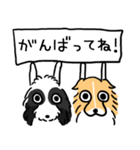 白黒ぽっぽと茶白のノイ（個別スタンプ：6）