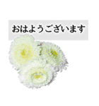 本物の花『ガーベラ』よく使う言葉で40種（個別スタンプ：3）