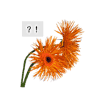 本物の花『ガーベラ』よく使う言葉で40種（個別スタンプ：34）
