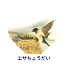 野鳥たち（個別スタンプ：2）