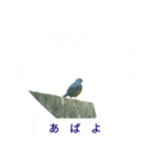 野鳥たち（個別スタンプ：4）