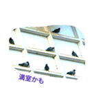 野鳥たち（個別スタンプ：15）