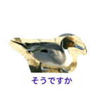 野鳥たち（個別スタンプ：28）