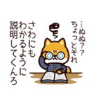 さわ、柴犬になりました。（個別スタンプ：6）