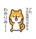 さわ、柴犬になりました。（個別スタンプ：22）