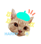 HARRYくんとANGEお姉ちゃんのスタンプ（個別スタンプ：20）