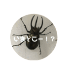 昆虫注意（個別スタンプ：13）