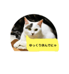 リリの日常♩（個別スタンプ：1）