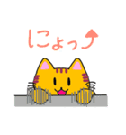 やなみんネコ（個別スタンプ：37）