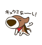 ビーグル犬「るん」（個別スタンプ：31）