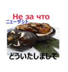食べ物の写真 ロシア語と日本語（個別スタンプ：9）