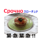 食べ物の写真 ロシア語と日本語（個別スタンプ：19）