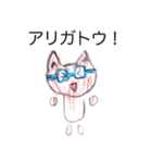 色鉛筆メガネねこ（個別スタンプ：17）