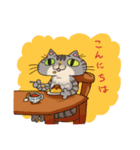 ねこんちゃスタンプ（個別スタンプ：5）