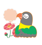 丸い目のボタンインコと花（個別スタンプ：40）