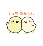 ぴよよvol.1 for しょう（個別スタンプ：31）