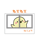 ぴよよvol.1 for しょう（個別スタンプ：34）