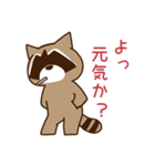 渋めのアライグマさん（個別スタンプ：1）