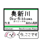 仙山線(仙台-山形) 今この駅だよ！タレミー（個別スタンプ：13）