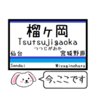 仙石線(宮城) 今この駅だよ！タレミー（個別スタンプ：3）