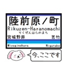 仙石線(宮城) 今この駅だよ！タレミー（個別スタンプ：5）