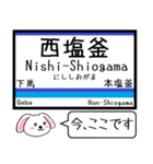 仙石線(宮城) 今この駅だよ！タレミー（個別スタンプ：13）