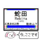 宮城 仙石東北ライン この駅だよ！タレミー（個別スタンプ：13）