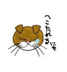 たびをはいた猫（個別スタンプ：5）