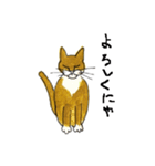 たびをはいた猫（個別スタンプ：18）