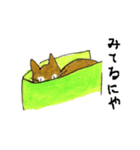 たびをはいた猫（個別スタンプ：19）