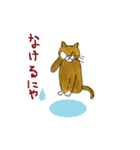 たびをはいた猫（個別スタンプ：33）