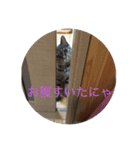 ひな きなこ くう（個別スタンプ：10）